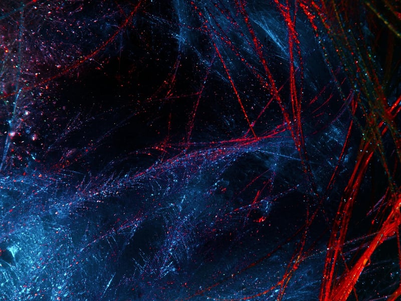 Digital Artist